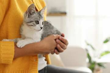 Woman with cute kitten at home, closeup. Space for text