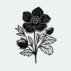 set of contour flower
line art of flowers, leaves
black and white illustration
set of decorative elements of plants