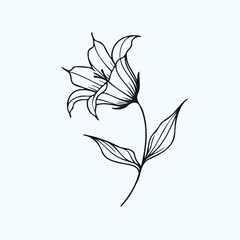 Fototapeta premium Adobe Illustrator Artwork set of contour bluebell line art of flowers, leaves black and white illustration set of decorative elements of plants