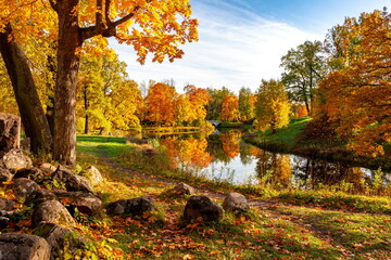 Alexander park in autumn, Pushkin (Tsarskoe Selo), St. Petersburg, Russia