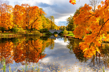 Autumn foliage in Alexander park, Tsarskoe Selo (Pushkin), St. Petersburg, Russia