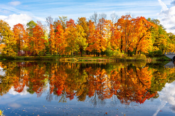 Autumn foliage in Alexander park, Tsarskoe Selo (Pushkin), St. Petersburg, Russia