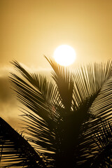 Nascer do Sol em Peruíbe, Litoral de São Paulo