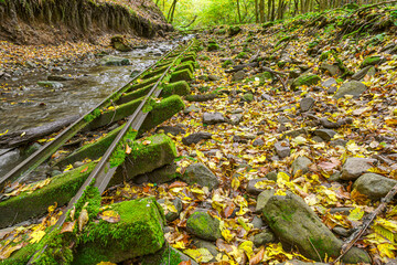 Abandoned railway track in autumn forest