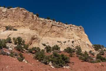 Fototapeta premium Rocky hillside with a few trees on it
