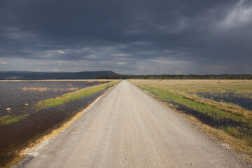 road to the sky in the savannah, Serengeti