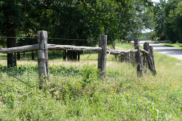 landscape image of old fence posts made with tree trunks in rural Bell County Texas