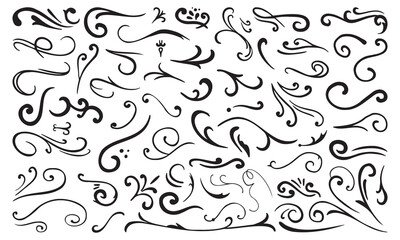 Ornate Floral Calligraphy Curves and Curls. A collection of ornate, hand-drawn floral calligraphy curves and curls, perfect for adding elegance and flair to decorative projects