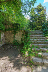 Old stone staircase overgrown with green plants, shadowy blue sky in the background, wide angle lens