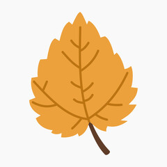 Fototapeta premium Autumn birch leaf vector illustration isolated on white background