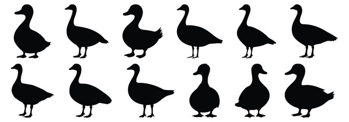 Duck silhouettes set, bird pack of vector silhouette design, isolated background.