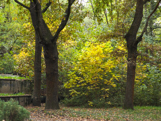 Autumn view of South Park in city of Sofia, Bulgaria