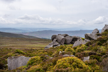 Walking to Simon's seat in the Yorkshire dales in summer, England