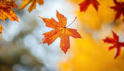 Natural Autumn Background: Colorful Maple Leaves Falling In The Season Of Fall, Creating A Vibrant And Beautiful Display Of Nature.