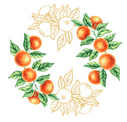 Watercolor tangerine wreath with gold. Hand-drawn tangerines isolated on white. Tangerines for textile, fabric, clothing and packaging design