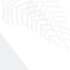 palm leaf tree leaves background design template