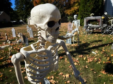 Photo of Front Yard Halloween Display Props Decorations with Scary Spooky Plastic Human Boneyard Cemetery Bones Skeletons, American Home Trick or Treat Fun. Face Fears Rotten Undead Dark Grave Hearse