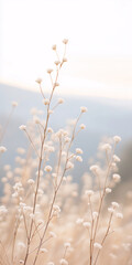 Obraz premium Close-up of plants against a natural background, pastel tones in a film photography style that embodies minimalist aesthetics, mobile phone wallpaper highlighting the beauty of nature and simplicity