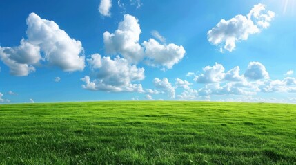 Obraz premium Lush Green Field under Bright Blue Sky with Clouds