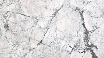 Elegant White Marble With Subtle Veins and Patterns