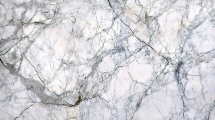 Obraz premium Elegant White Marble with Intricate Veining Patterns