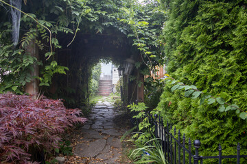Garden arch with wisteria over walkway to stairs