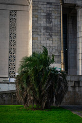 Faculty of Law UBA - Monumental Neoclassical Architecture in Buenos Aires