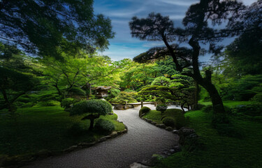 A winding stone path through a lush, green Japanese garden.  The path leads to a small wooden structure, surrounded by vibrant foliage and towering trees.