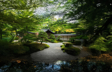 Fototapeta premium A Japanese garden with a wooden structure nestled in a lush forest. The gravel path leads to a small pond with water lilies and a rock garden.
