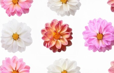 Six colorful flowers with yellow centers are arranged in a pattern on a white background.
