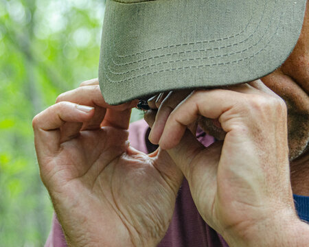 Entomologist checking it out