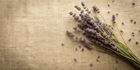 A delicate bouquet of lavender blossoms rests on a textured linen background, a symphony of purple and green hues in a simple yet captivating display.