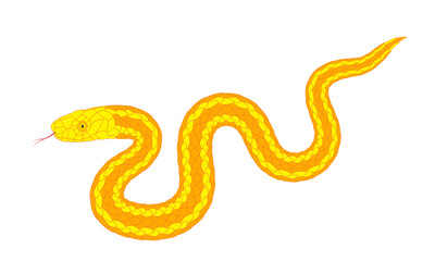 A simple cartoon snake pattern