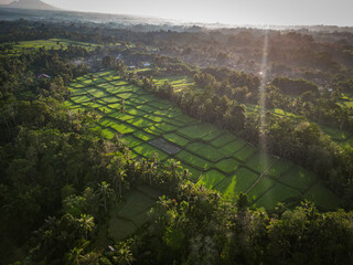 Bali´s morning Sun