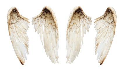 Elegant White Angel Wings Displayed Against a Simple Background Generative AI