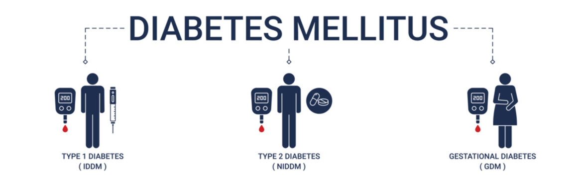 Diabetes Mellitus types banner with type 1, type 2, gestational diabetes icon concept vector illustration