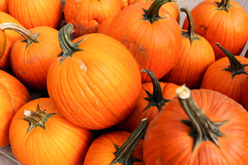 Pumpkin's distinctive orange, pinkish hues, and natural imperfections create a character all its own, making it a perfect symbol of harvest celebrations and fall decor for halloween season.