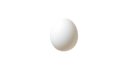 Whole egg with a smooth white shell centered on a plate
