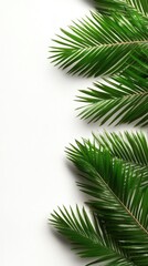 Obraz premium Minimalist Palm Leaves Arrangement on White Surface