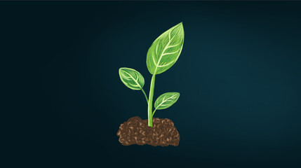 green plant in the soil.