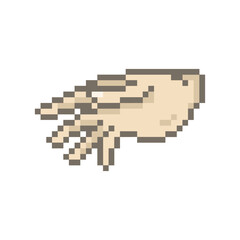 Fototapeta premium human cute hand pixel art