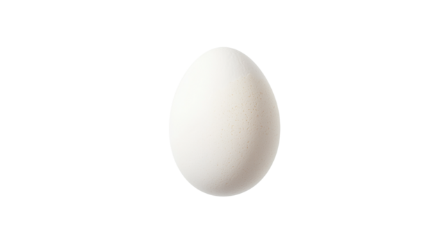 Perfectly boiled egg with smooth white shell - A single
