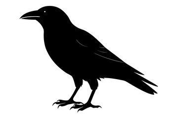 Crow silhouette | vector silhouette illustration on white background