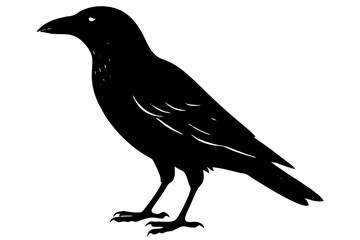 Crow silhouette | vector silhouette illustration on white background