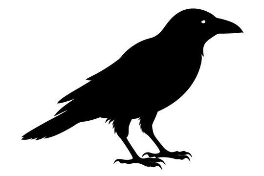 recommend clip art: Crow silhouette | vector silhouette illustration on white background