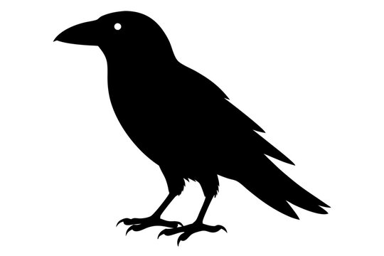 recommend clip art: Crow silhouette | vector silhouette illustration on white background