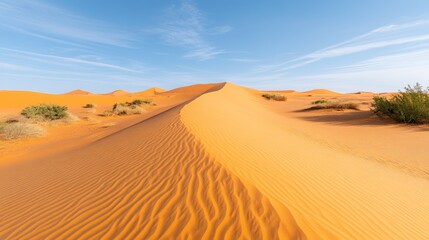 Desert Sand Dunes.