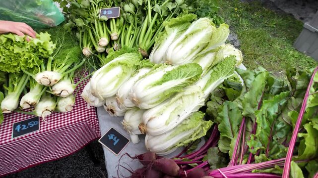 A variety of mushrooms, including oyster and shiitake, are displayed in blue containers on a red and white checkered tablecloth alongside a bunch of vibrant Swiss chard. 
