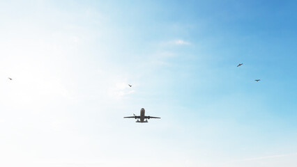 ULTRA HD. Airplane flies in blue sky. Travel. Airplane takes off against the background of blue sky. 