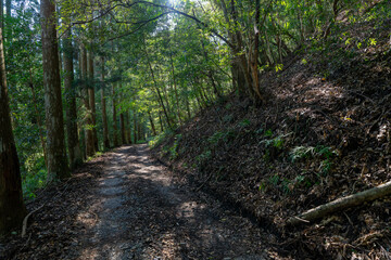 川中自然公園 宮崎県東諸県郡綾町